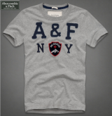 Camiseta Masculina A & F NY Skirecue Cinza