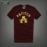 Camiseta Masculina A & Fitch 1892 Marrom